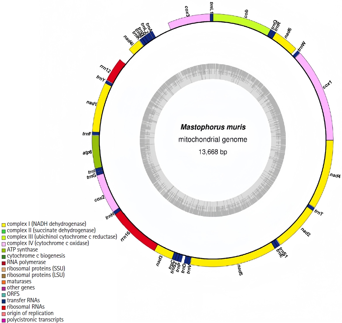 PHD-25064f1.jpg