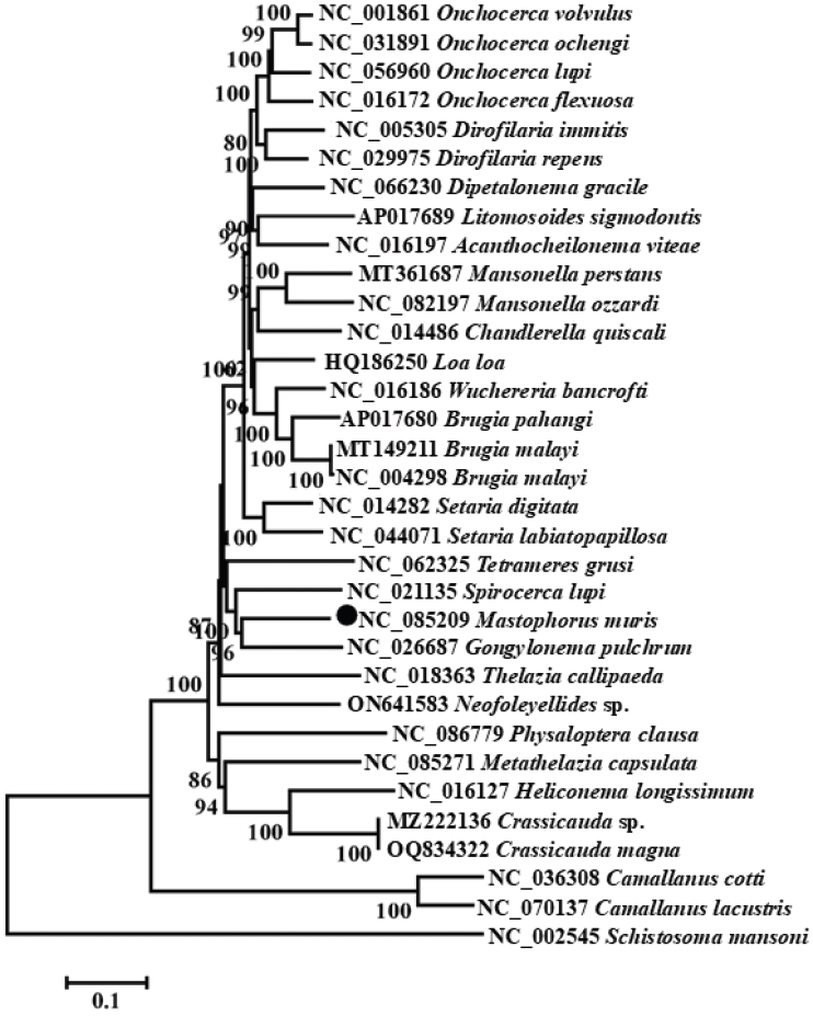 PHD-25064f2.jpg