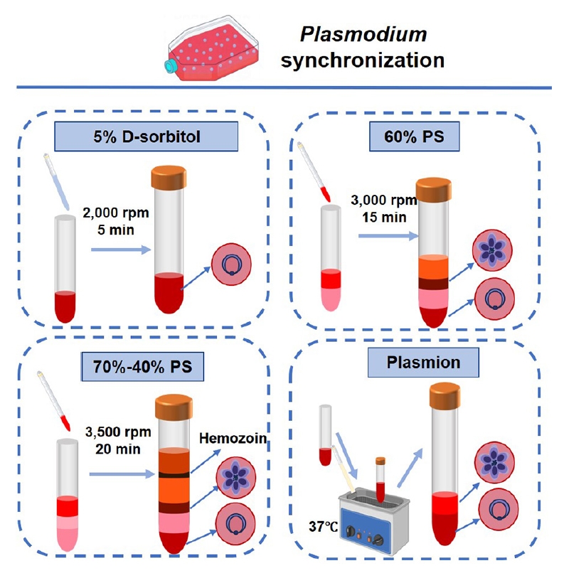 PHD-25096f1.jpg