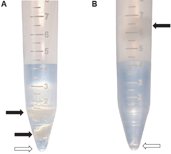 PHD-25097f1.jpg