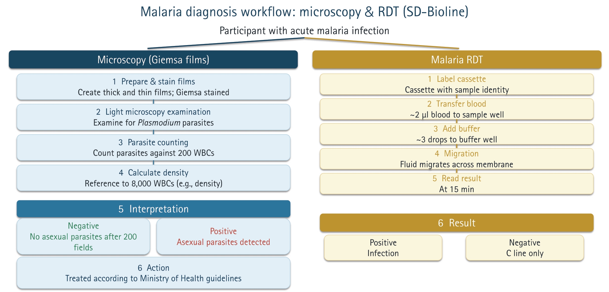 PHD-26001f1.jpg