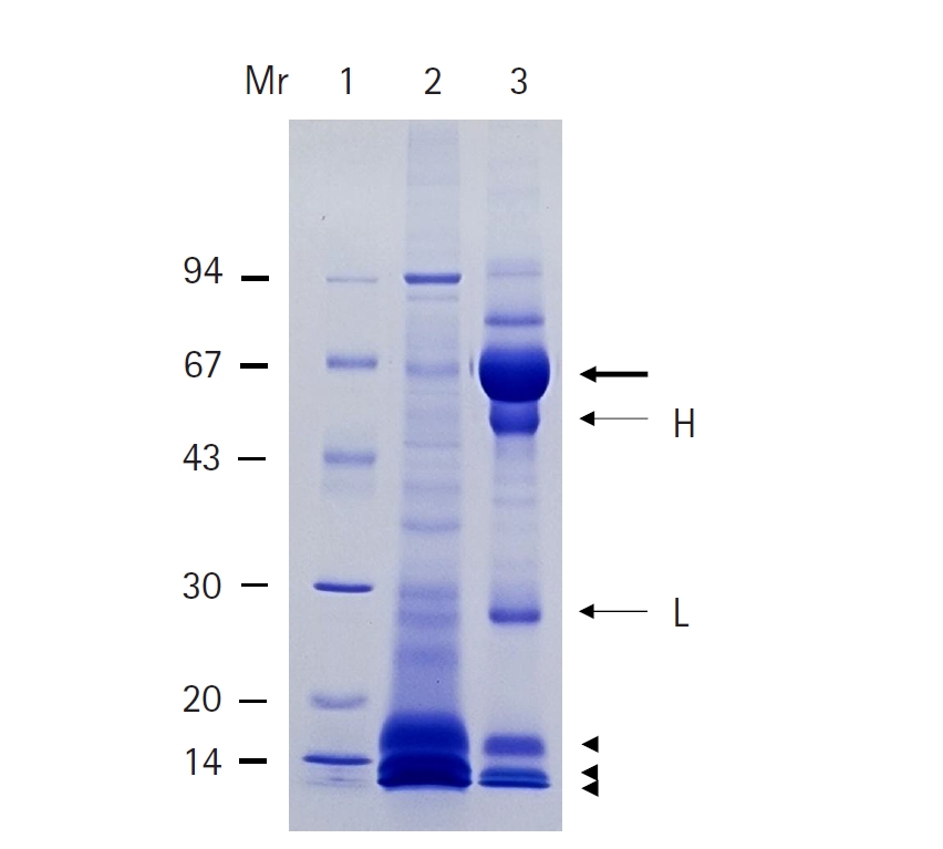PHD-26004f3.jpg