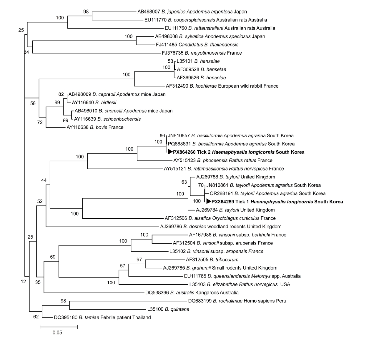PHD-26010f1.jpg