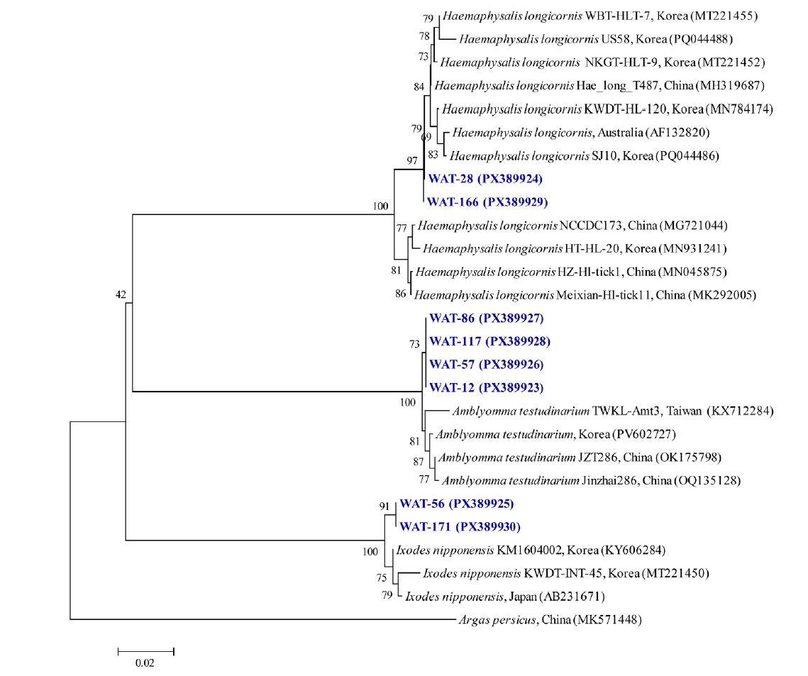 PHD-26028f1.jpg