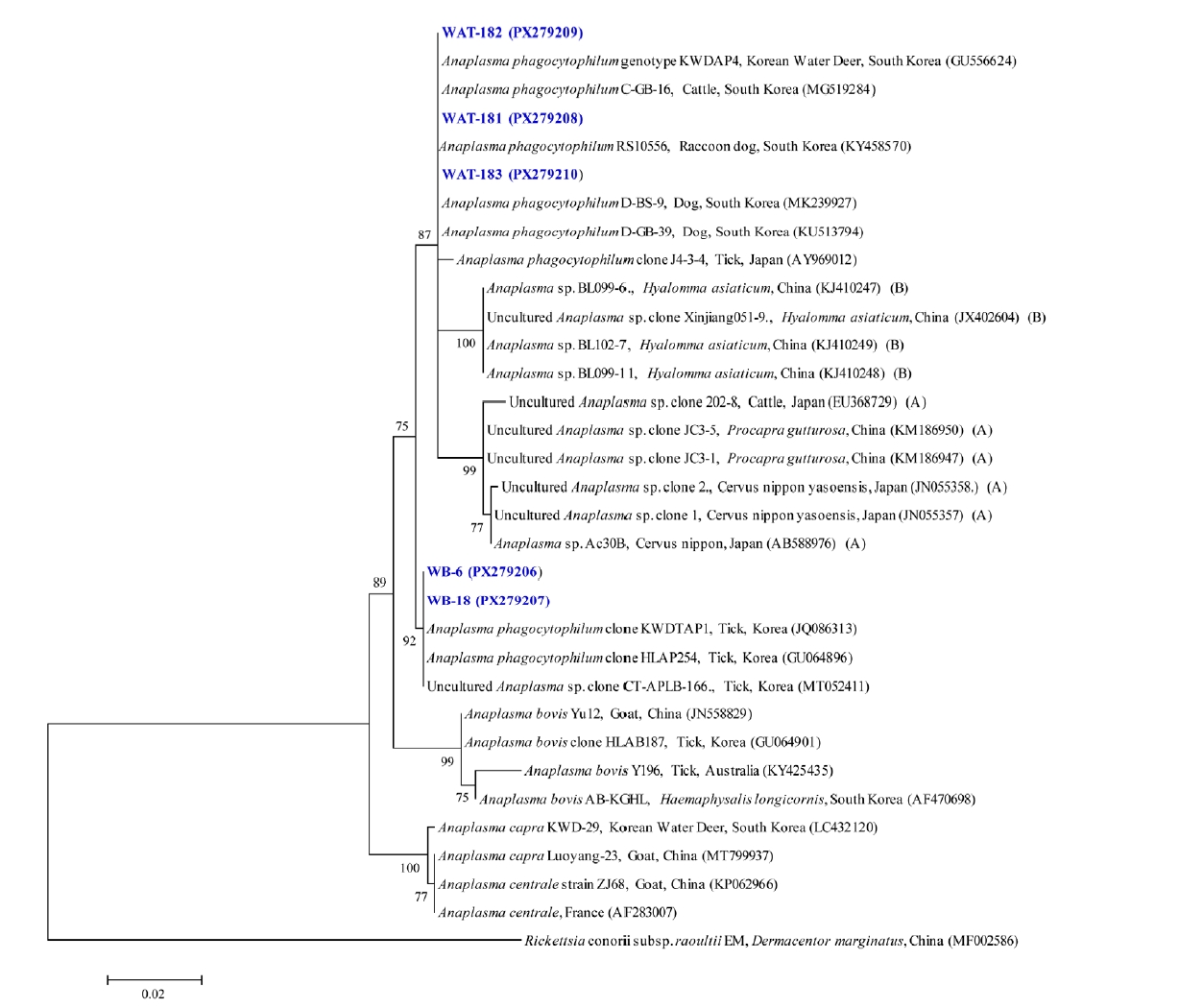 PHD-26028f2.jpg