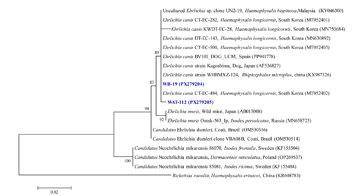 PHD-26028f4.jpg