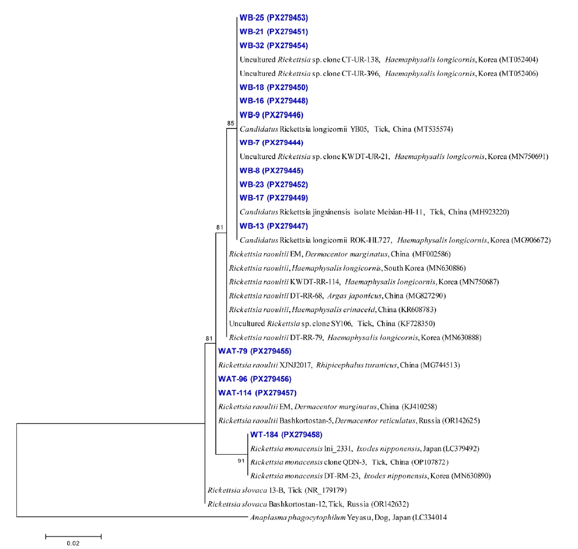PHD-26028f5.jpg