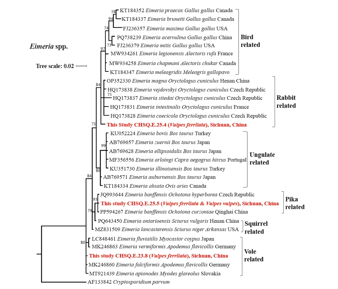 PHD-26037f4.jpg