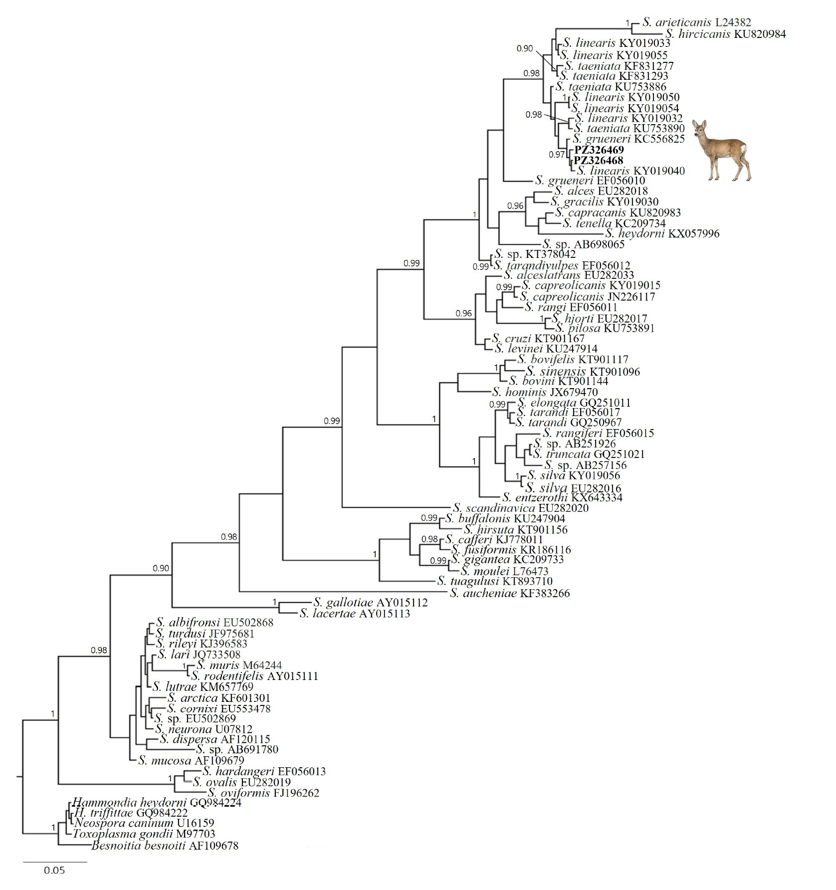 PHD-26041f2.jpg