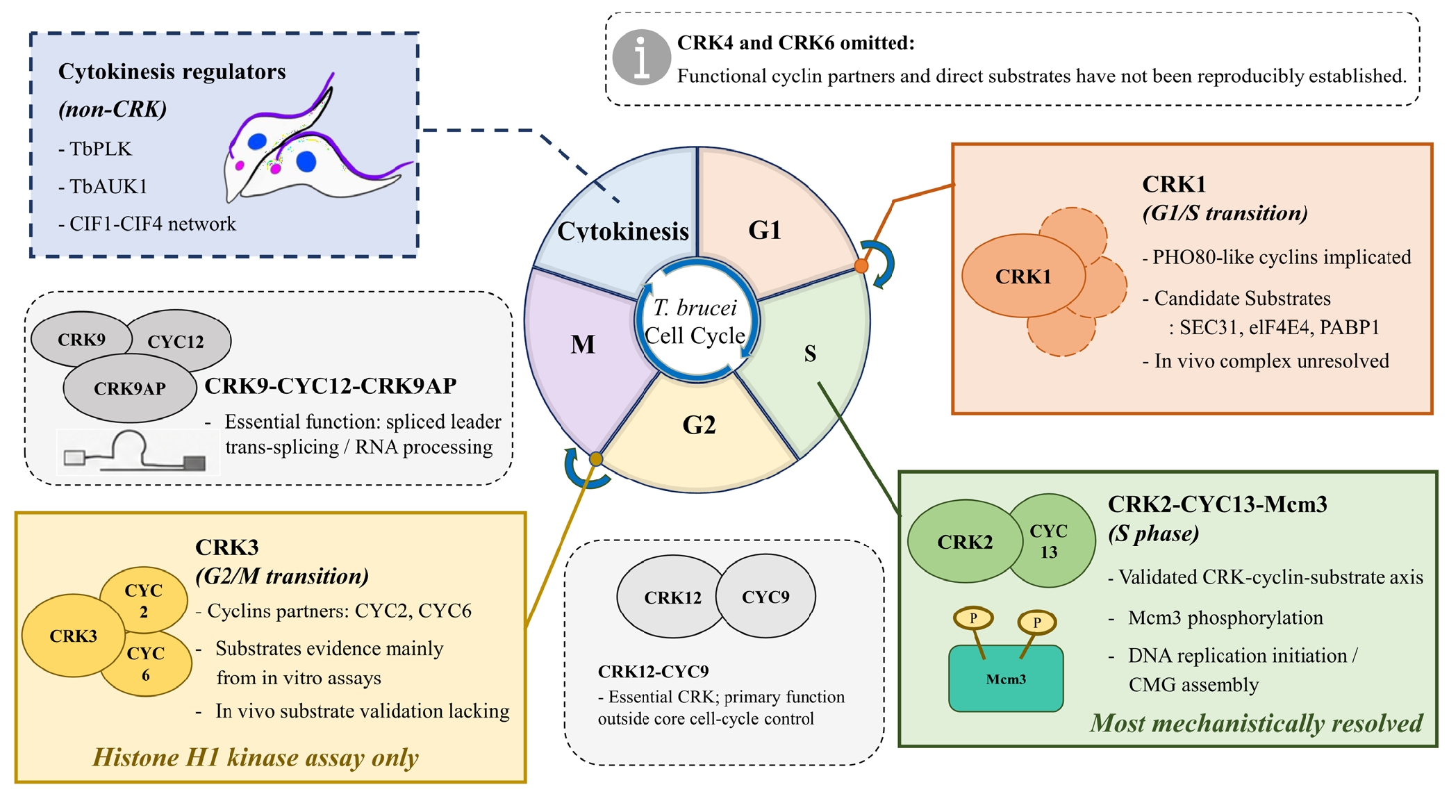 PHD-26049f3.jpg