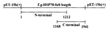 kjp-38-107-g001.jpg