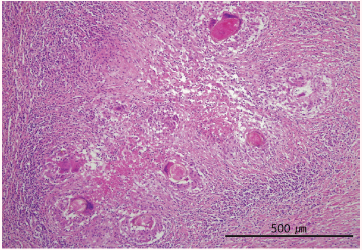 Fig. 3.
