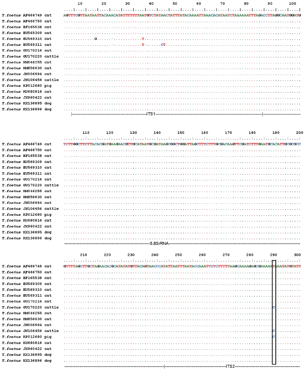 kjp-54-6-703f3.gif