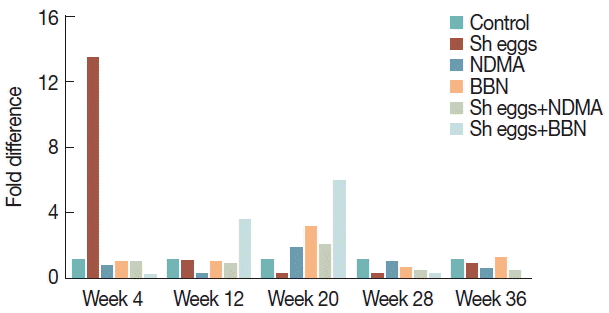 kjp-55-1-21f5.gif