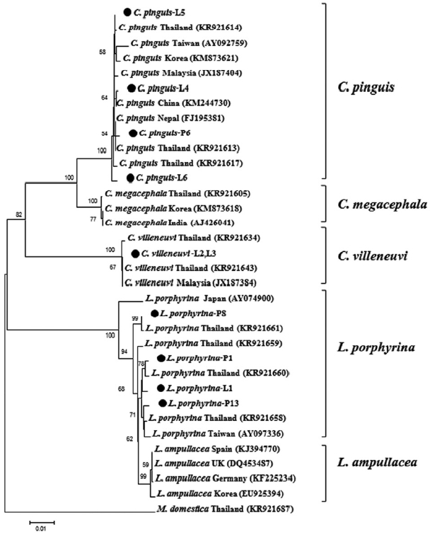 Fig. 4