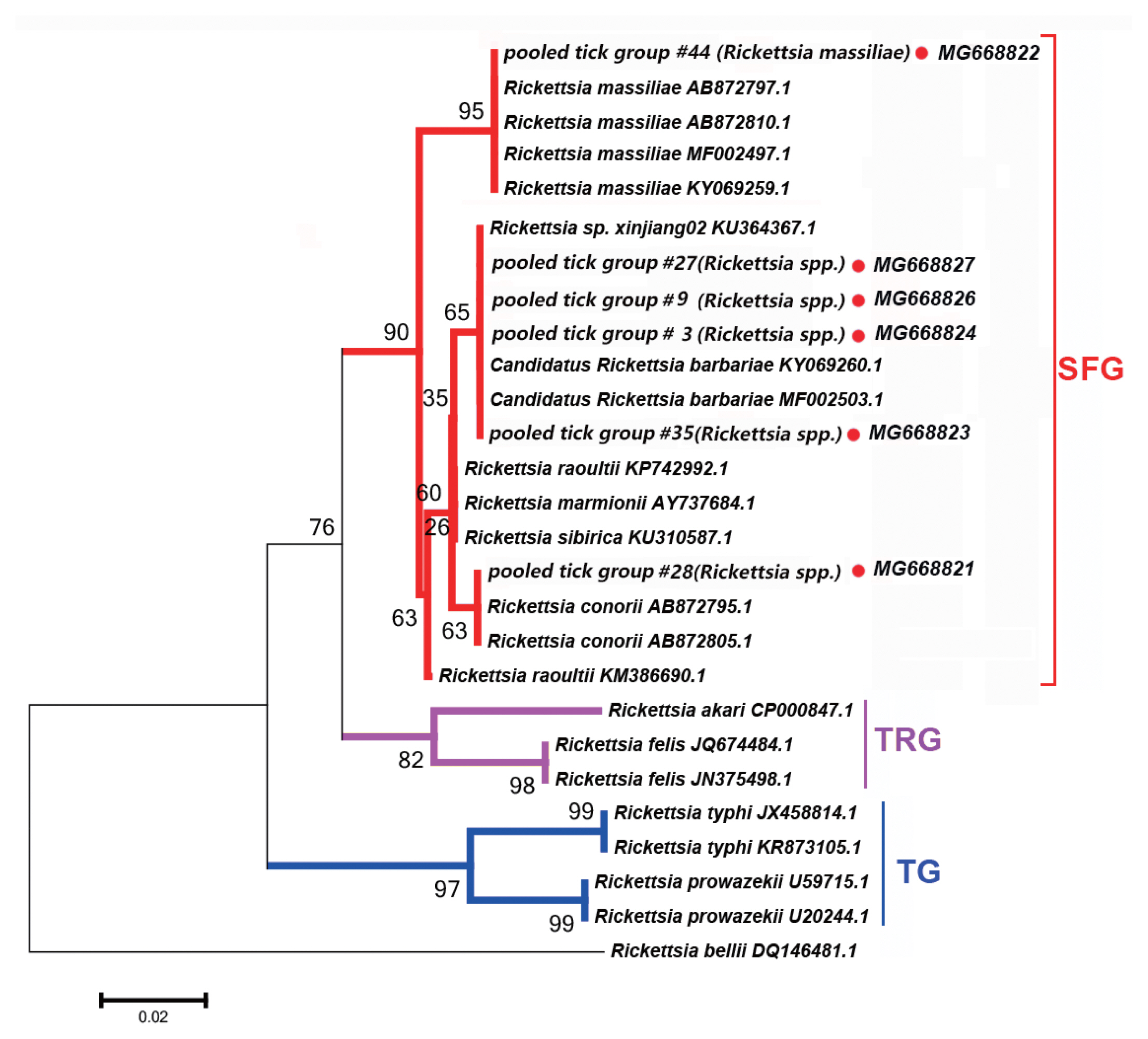 Fig. 2