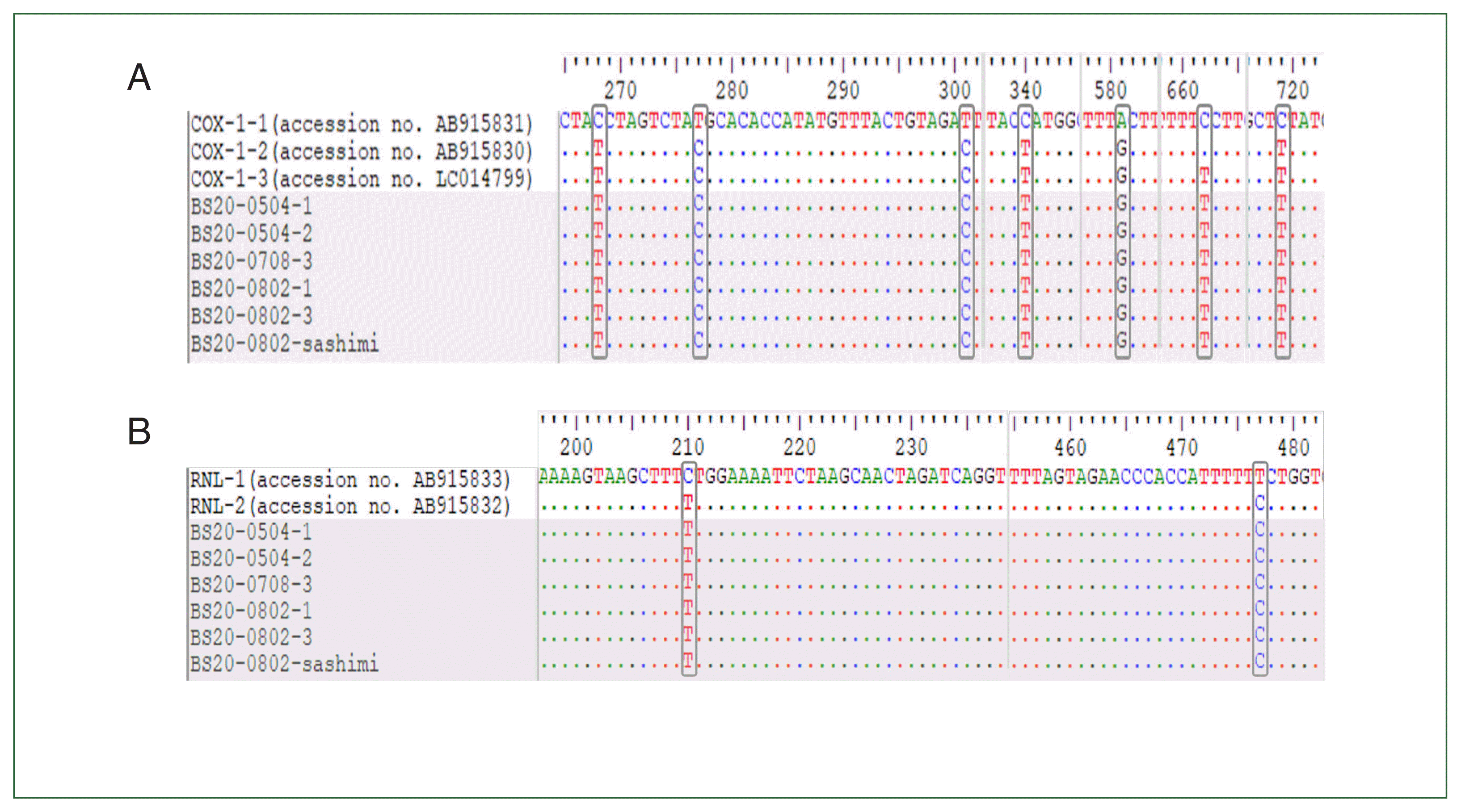 phd-22034f1.gif
