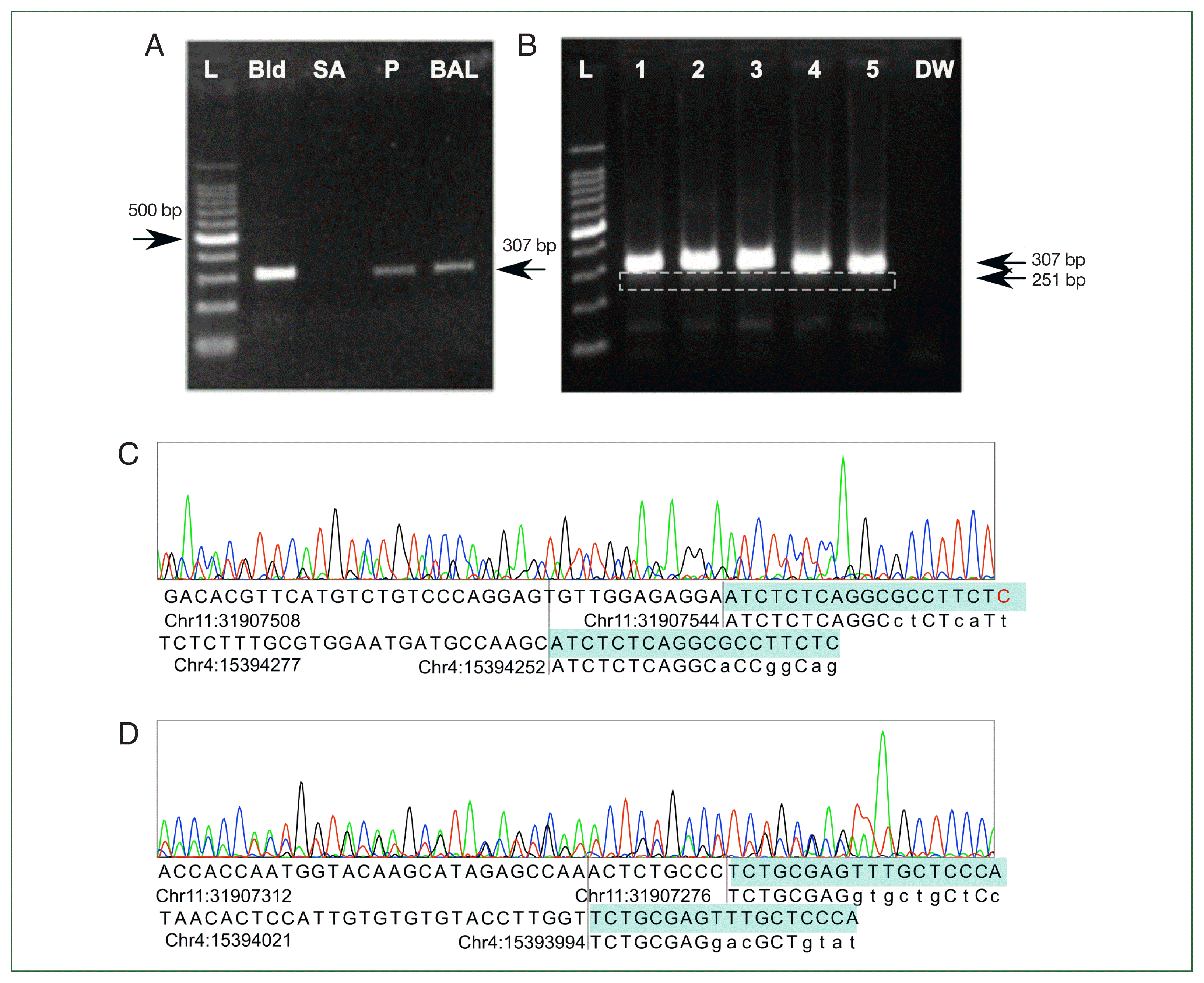 phd-22107f3.gif