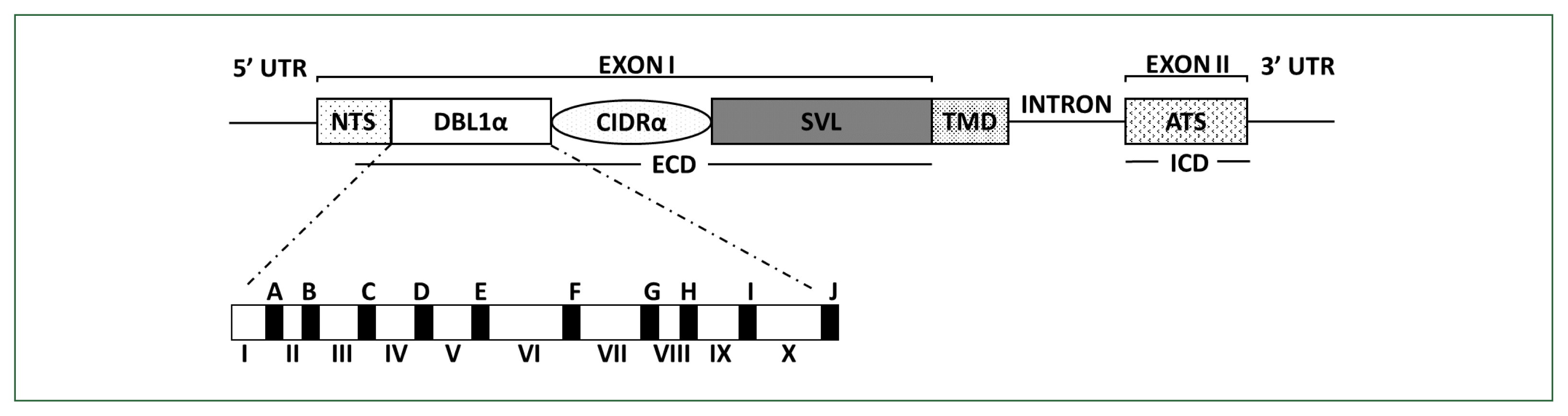 phd-22165f1.gif