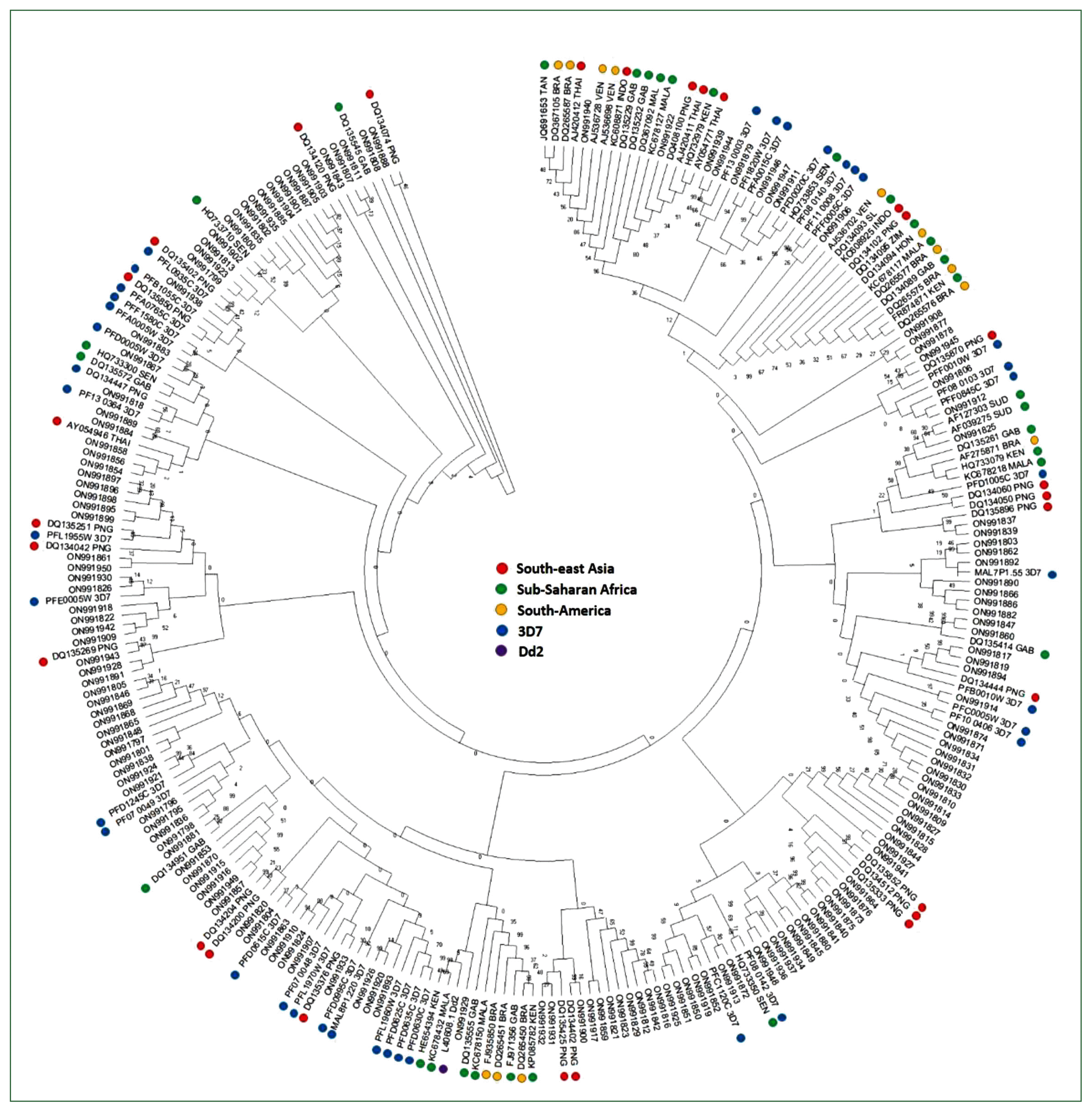 phd-22165f3.gif