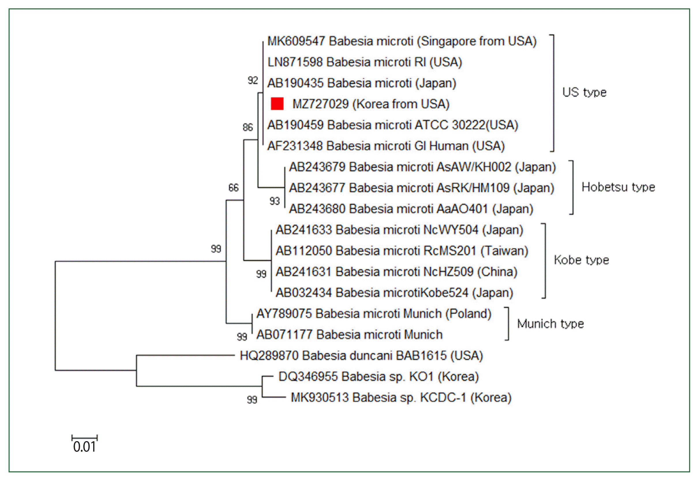 phd-22168f3.gif
