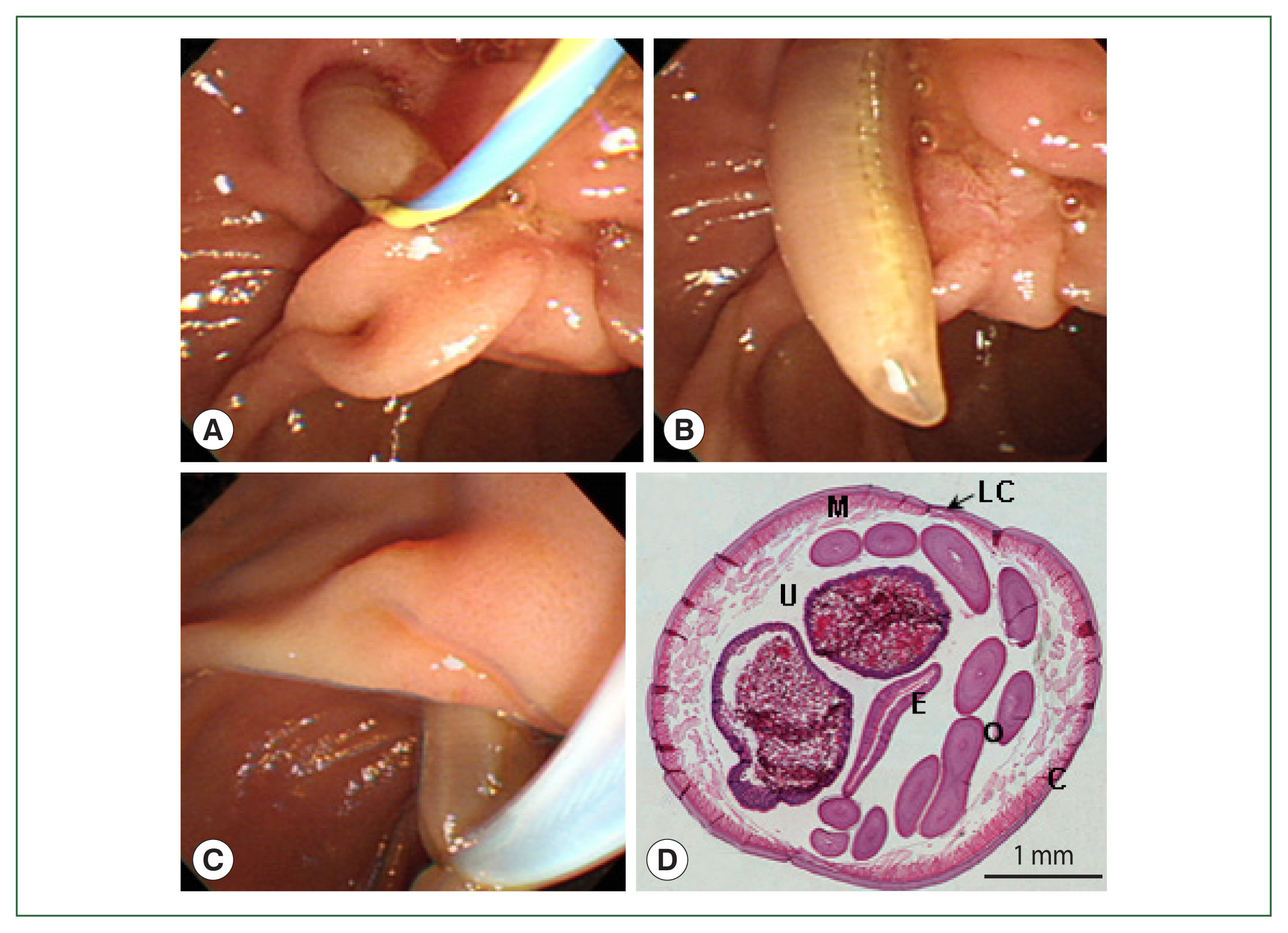 phd-23012f2.jpg