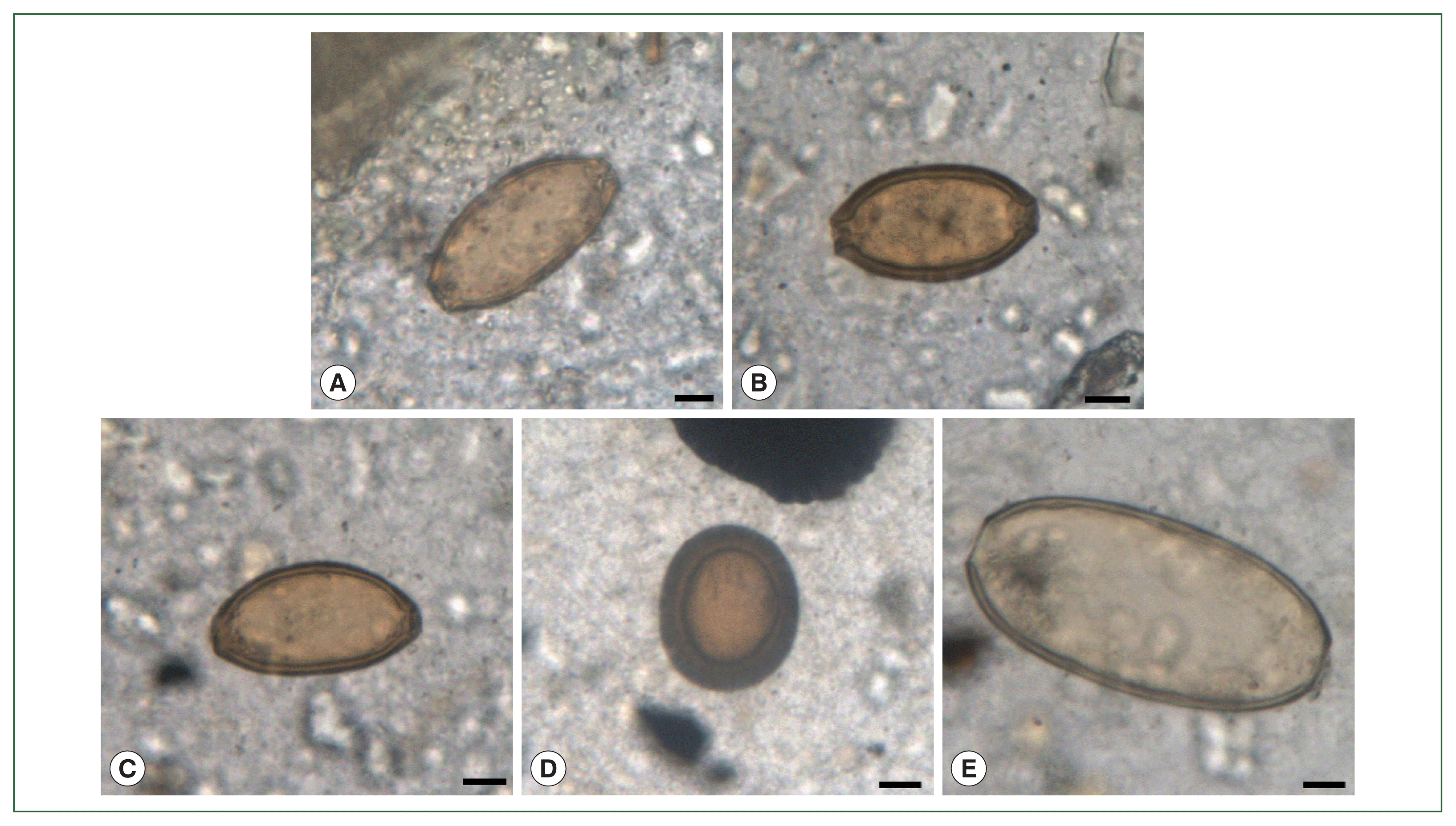 phd-23013f2.gif