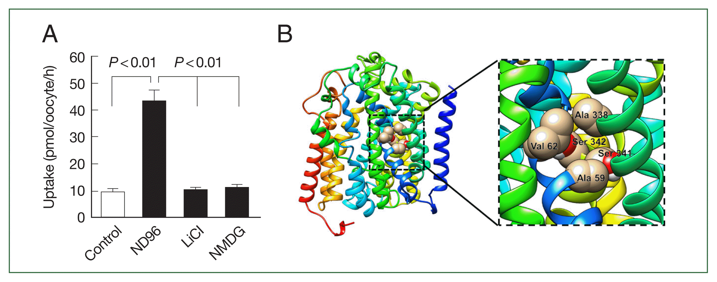 phd-23082f4.gif