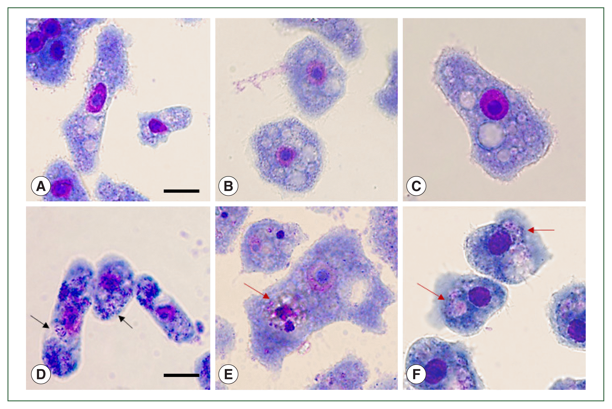 phd-23088f3.gif