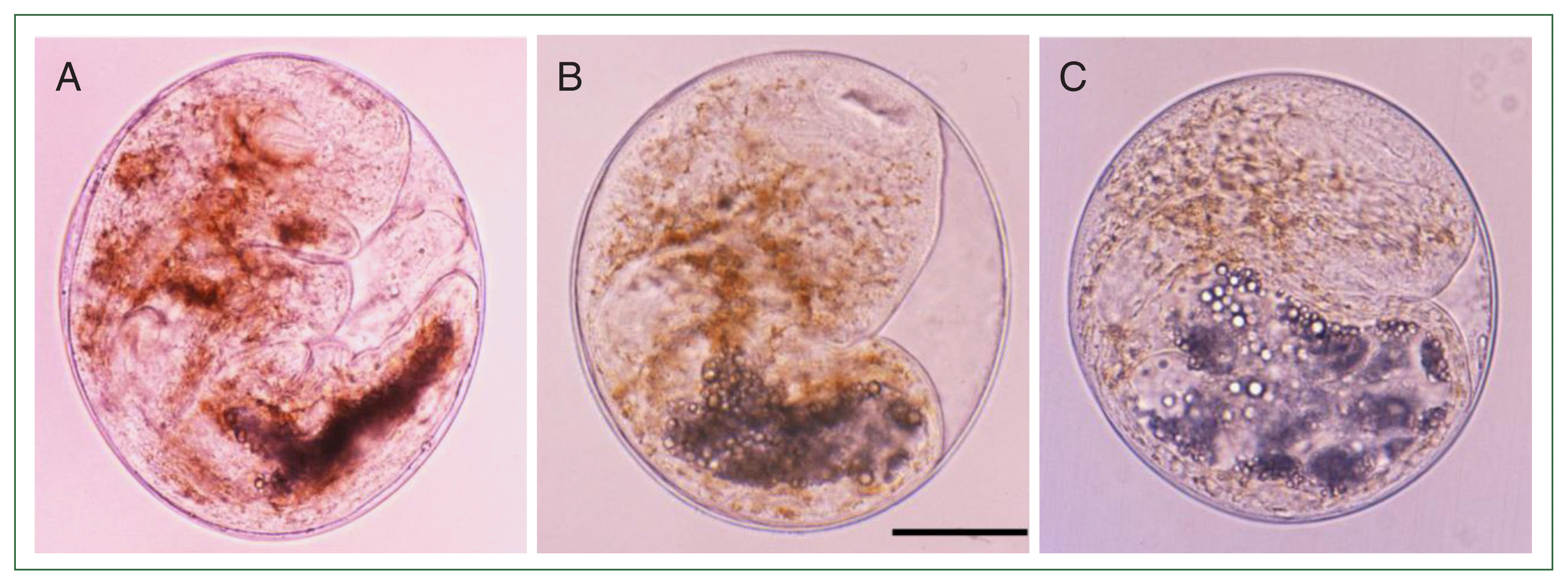 phd-23096f1.gif