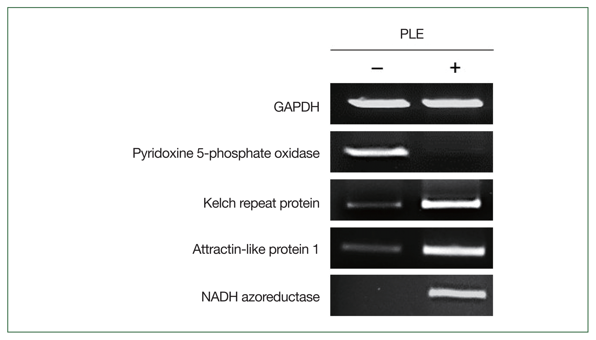 phd-23103f4.gif