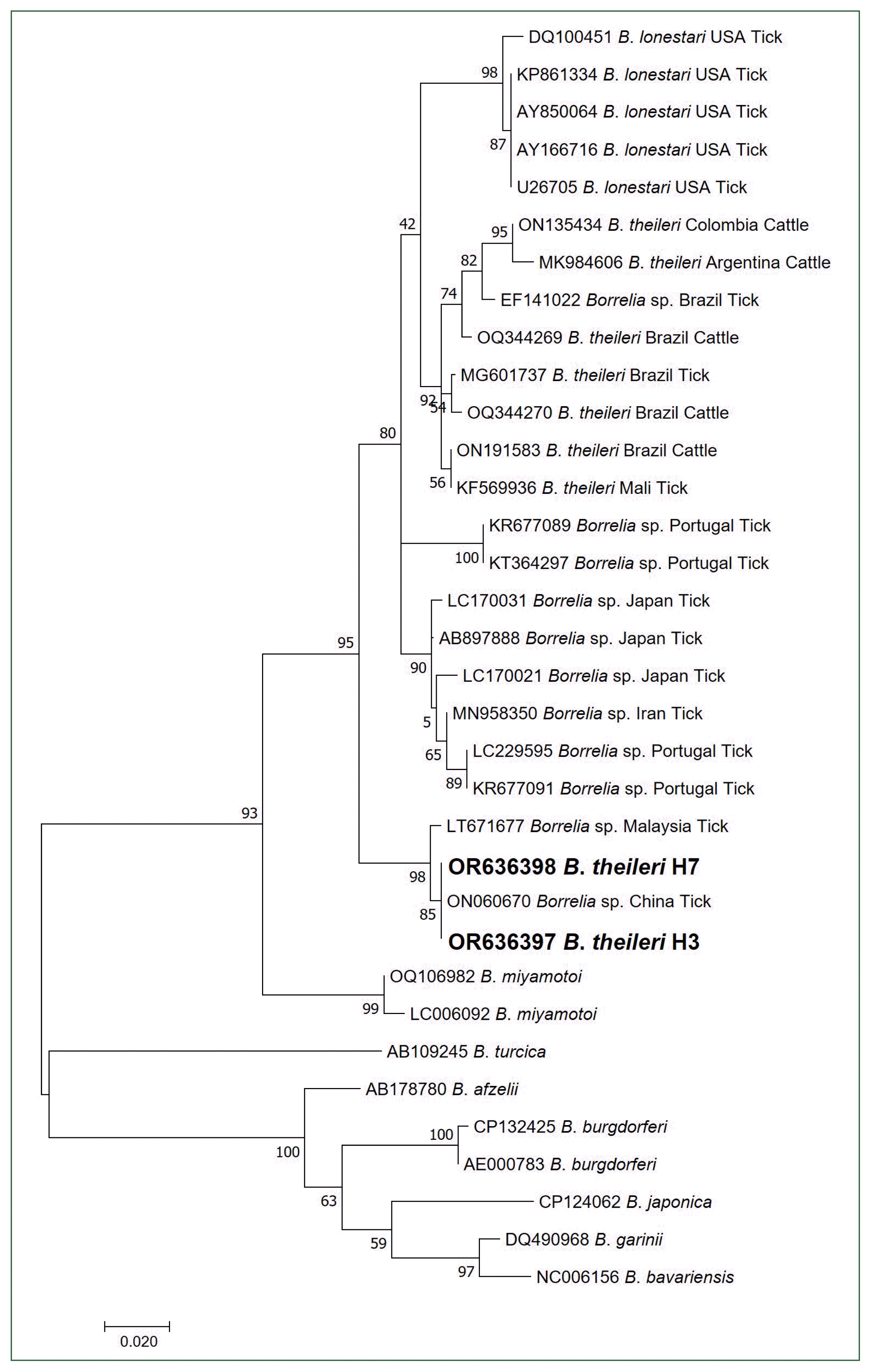 phd-23105f2.gif