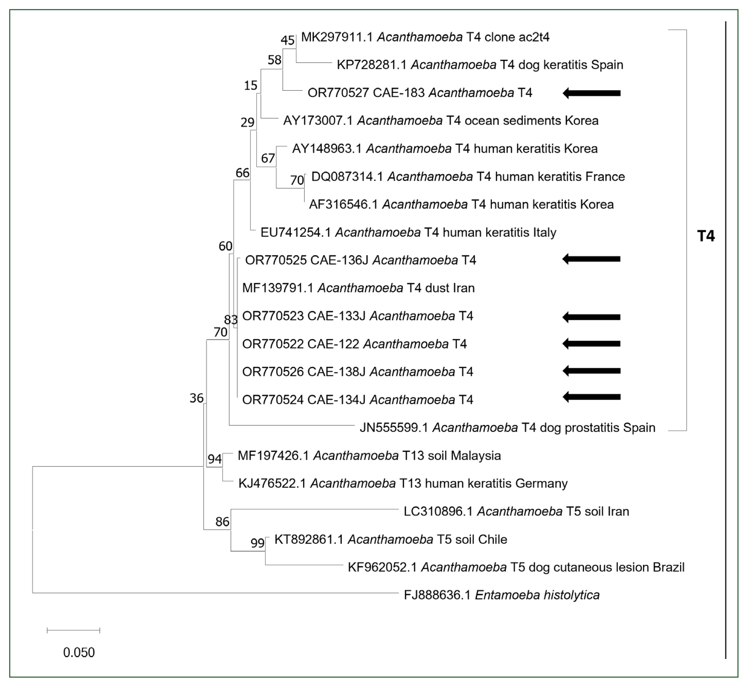 phd-23112f1.jpg