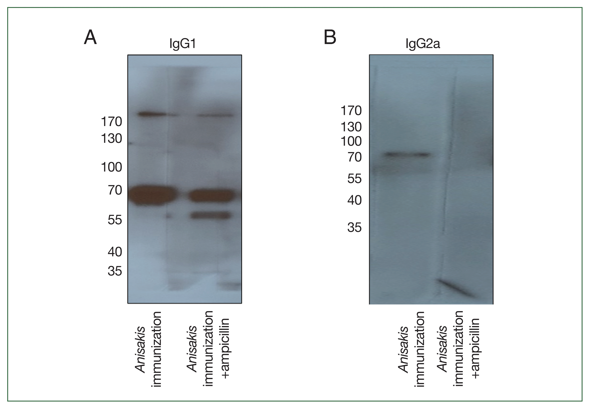phd-23114f4.gif