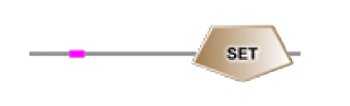 phd-23116f10.gif