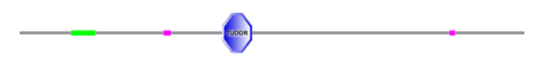 phd-23116f11.gif