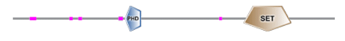 phd-23116f13.gif