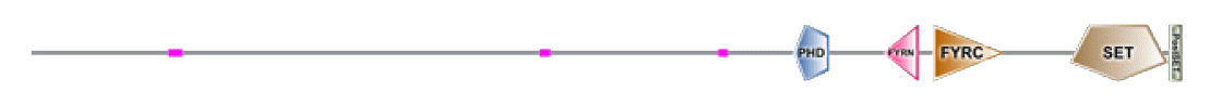 phd-23116f14.gif