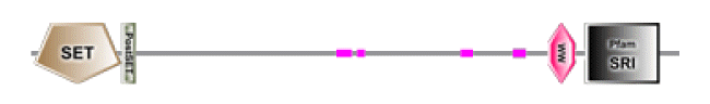 phd-23116f15.gif