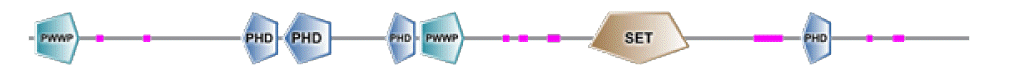 phd-23116f16.gif
