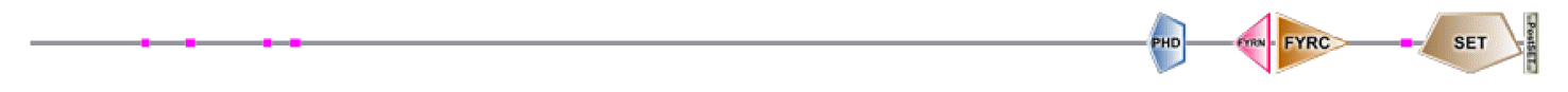 phd-23116f17.gif