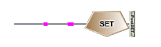 phd-23116f18.gif