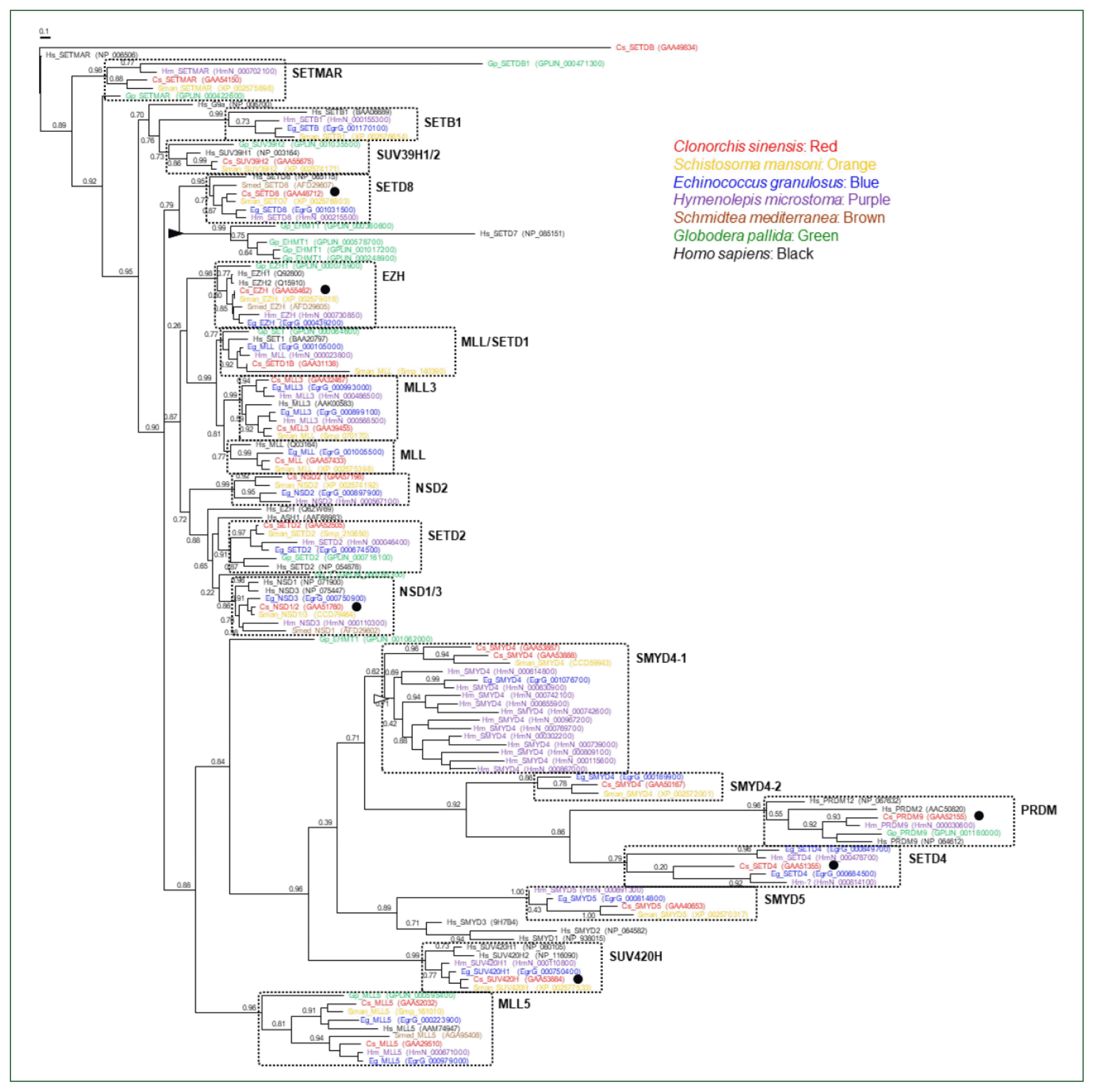 phd-23116f2.gif