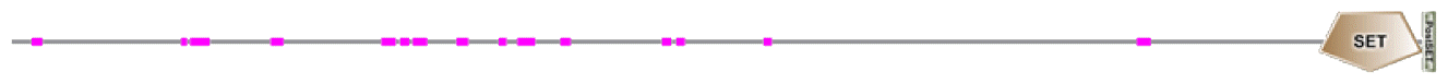 phd-23116f20.gif