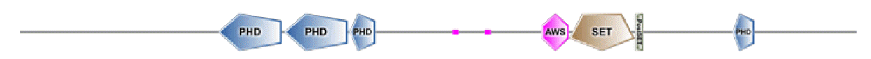 phd-23116f21.gif