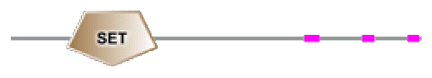 phd-23116f22.gif