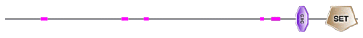 phd-23116f23.gif