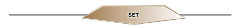 phd-23116f27.gif