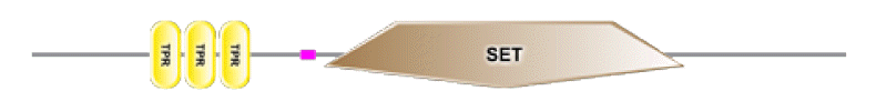 phd-23116f28.gif