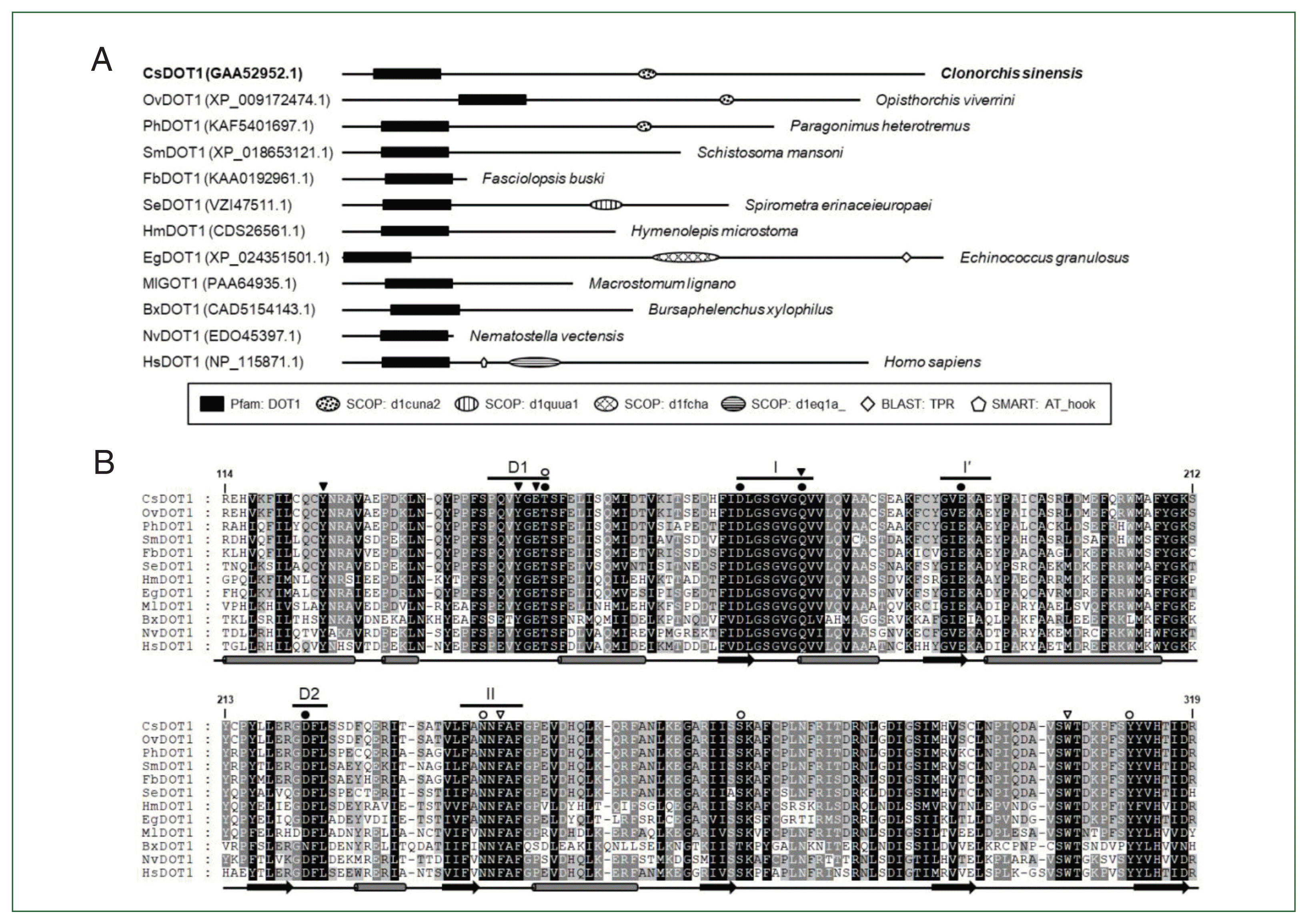 phd-23116f3.gif